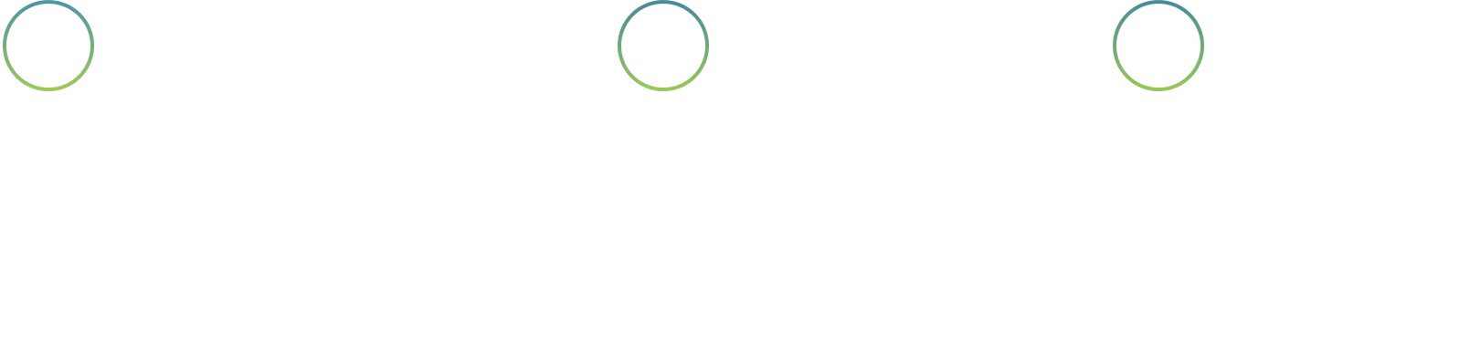 Focus Areas